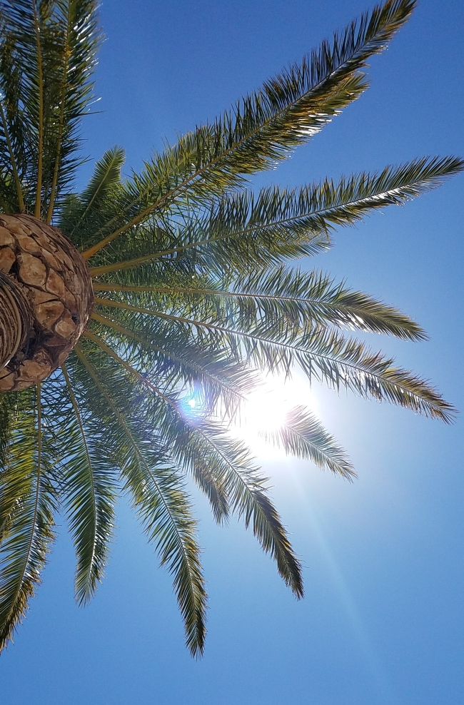 Suns Out Buns&nbsp;Out