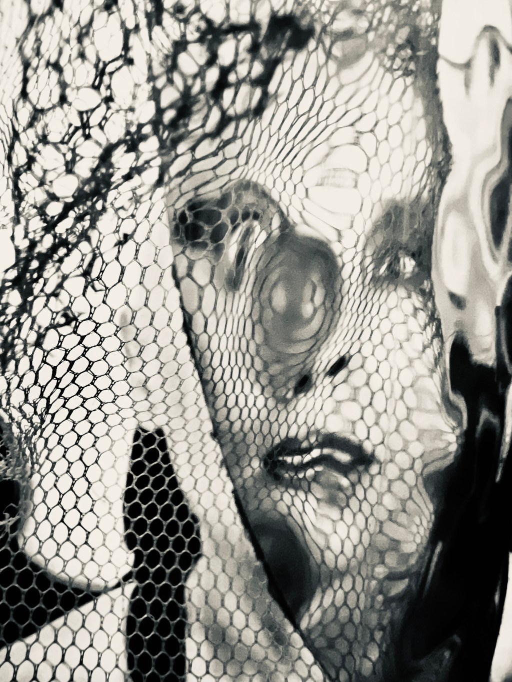 Project Kaleidoscope: Wheel of Fortune&nbsp;(XIII)