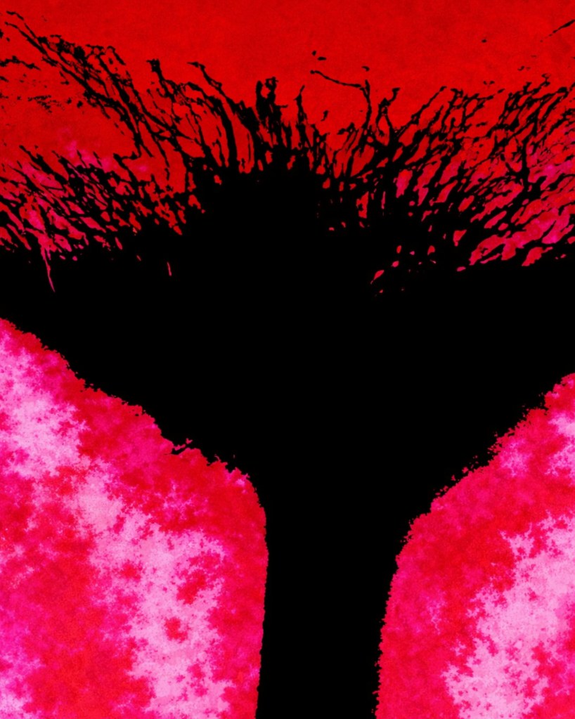 Abstract red and black composition titled Inferno by Baroque Medusa featuring high-contrast organic forms against a saturated crimson background.