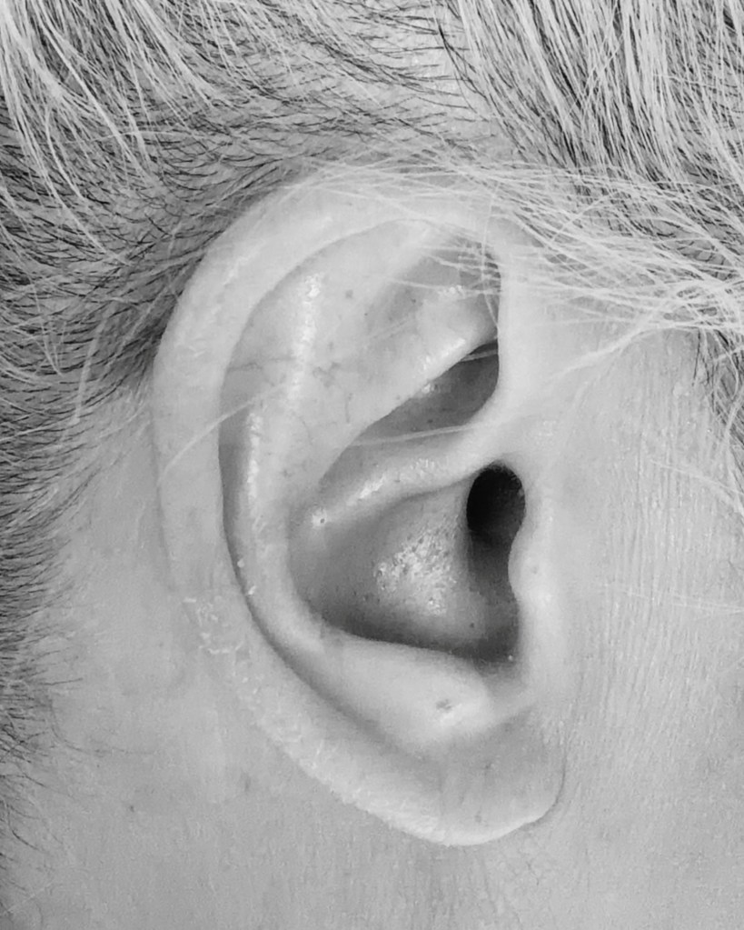 black and white photograph of the artist’s ear used as source material for palm springs spinners abstract distortions artwork by baroque medusa