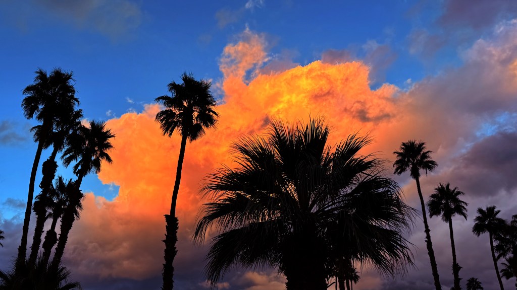 Silhouetted palm trees against glowing orange sunset clouds and a deep blue evening sky in the Coachella Valley. Original source photograph by Baroque Medusa used in the creation of Vajine Springs.