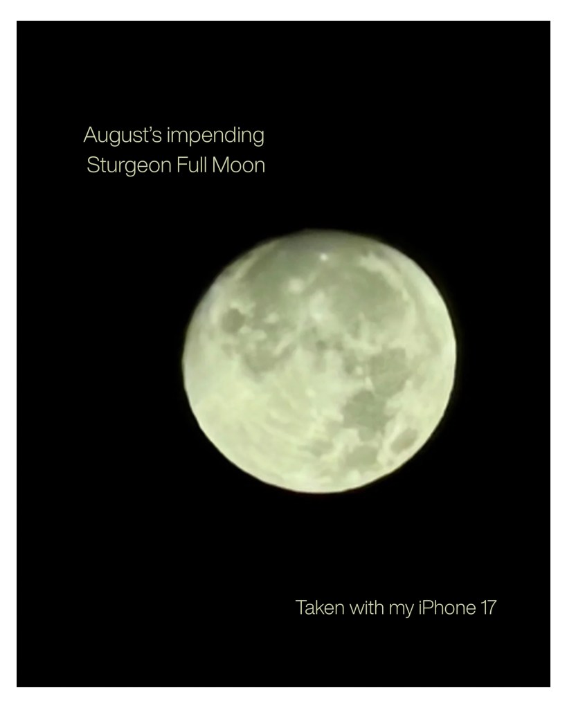Original iPhone photograph of August’s impending Sturgeon Full Moon against a black night sky, photographed by Baroque Medusa.