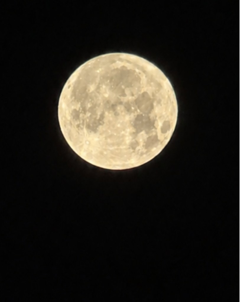 Golden full moon glowing against a black night sky, photographed as original source material for the Eight of Moons digital collage.